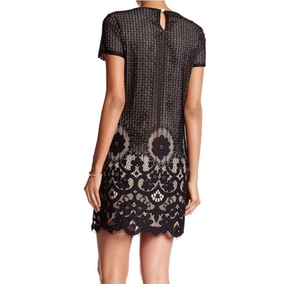 CeCe Black & Tan Lace Short Sleeve Scallop Dress - Picture 2 of 8